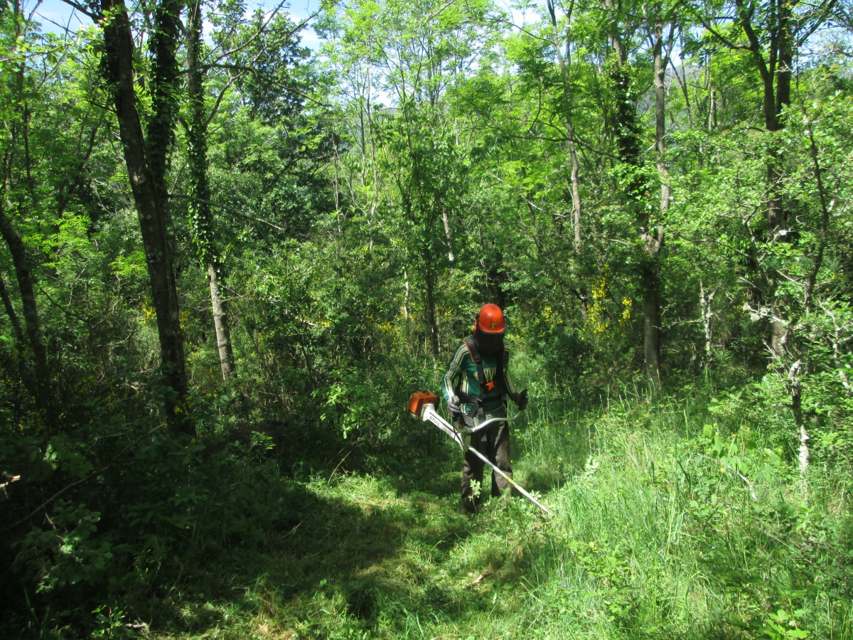 Débroussaillage secteur El Roquet bis     